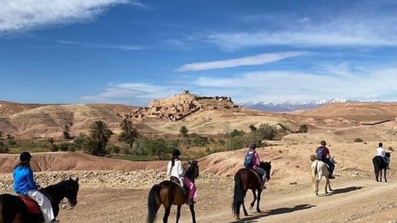 Horse Riding Activity